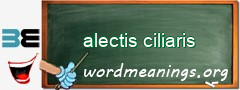 WordMeaning blackboard for alectis ciliaris